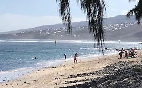 Leu Corail